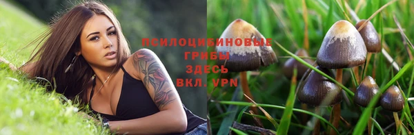 бошки Сосновоборск