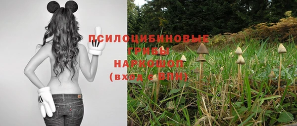 шишки Баксан