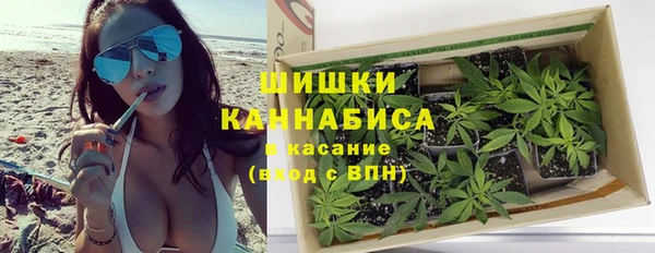 шишки Баксан