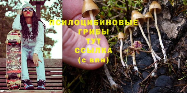 шишки Баксан