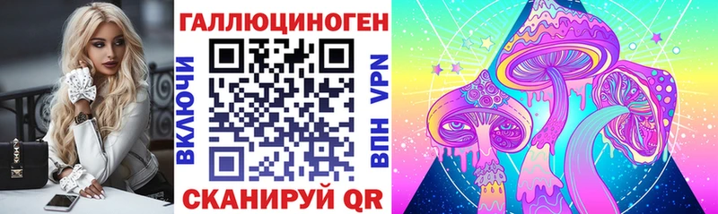 Галлюциногенные грибы Psilocybe  где купить наркоту  Кузнецк 